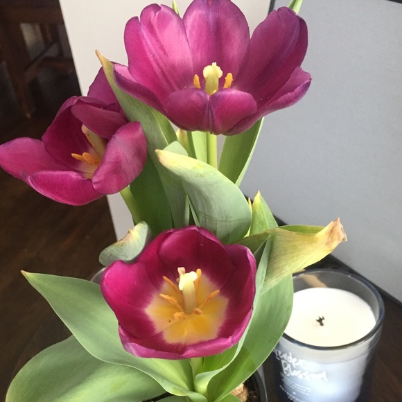 Meet your Posher, Krane - Picture 1 of 1